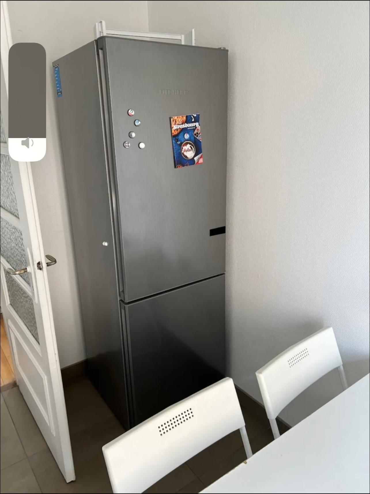 Lilas 99 Apartment สตราสบูร์ก ภายนอก รูปภาพ